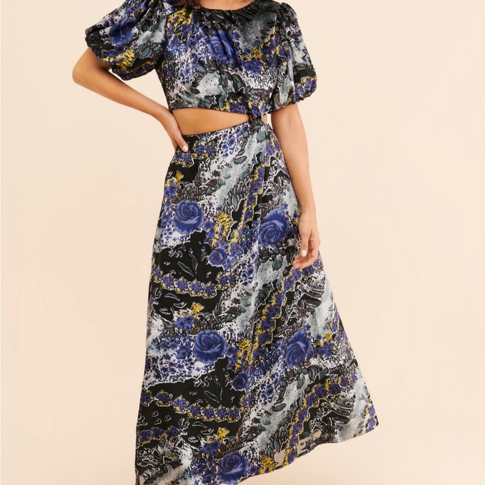 Anthropologie velvet floral Puff Sleeve Dress with Cutout